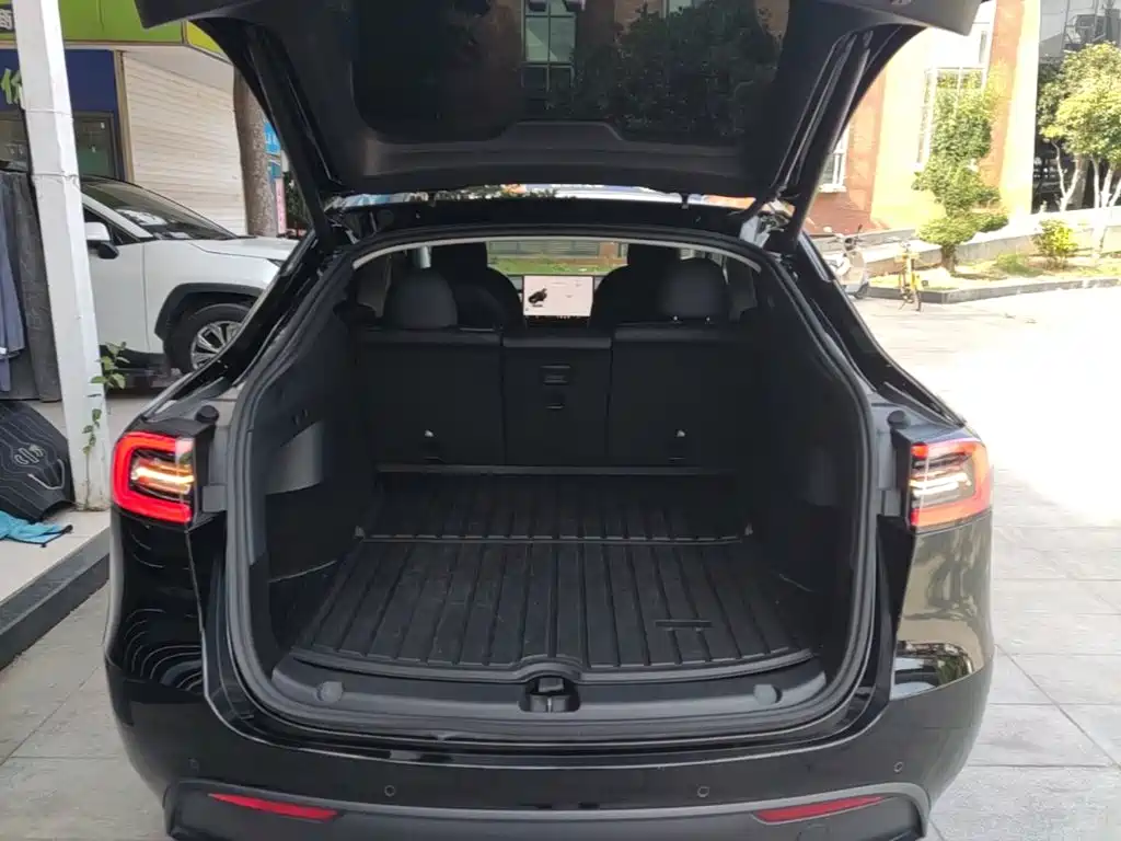 Tesla Model Y — миниатюра 19