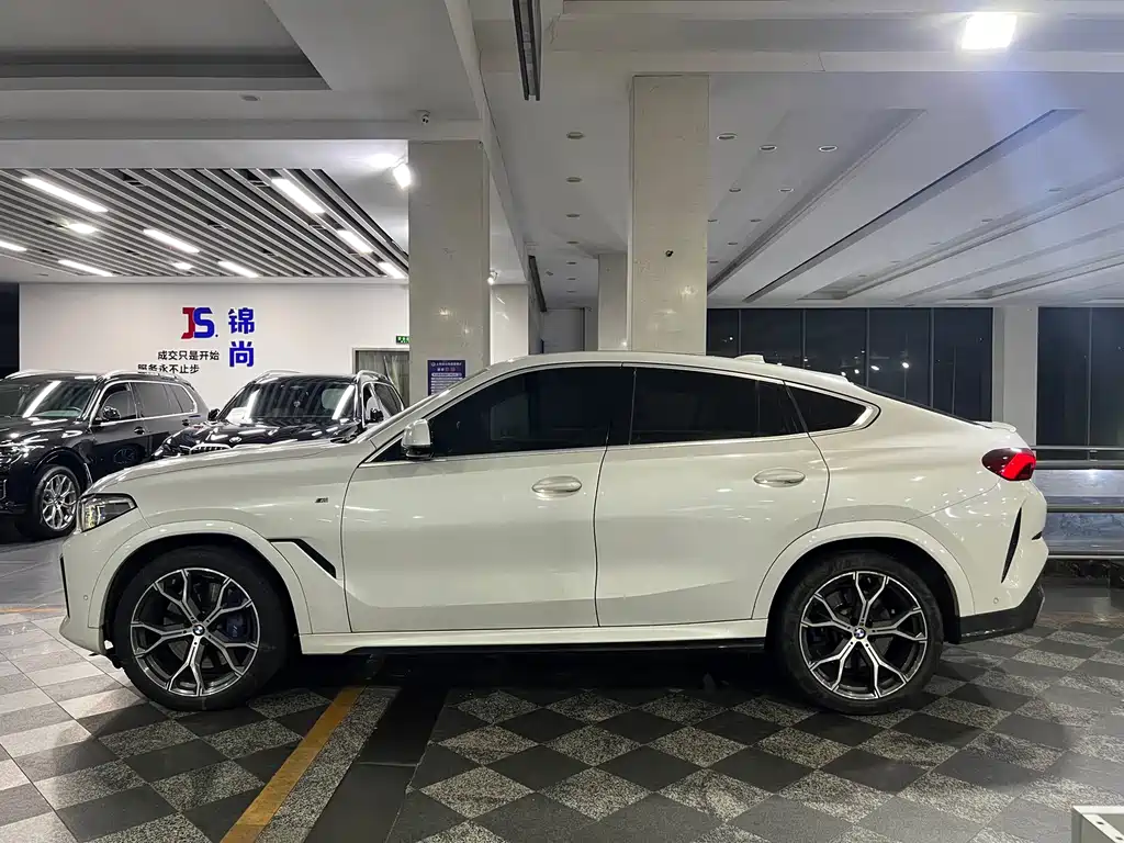 BMW X6 — миниатюра 5