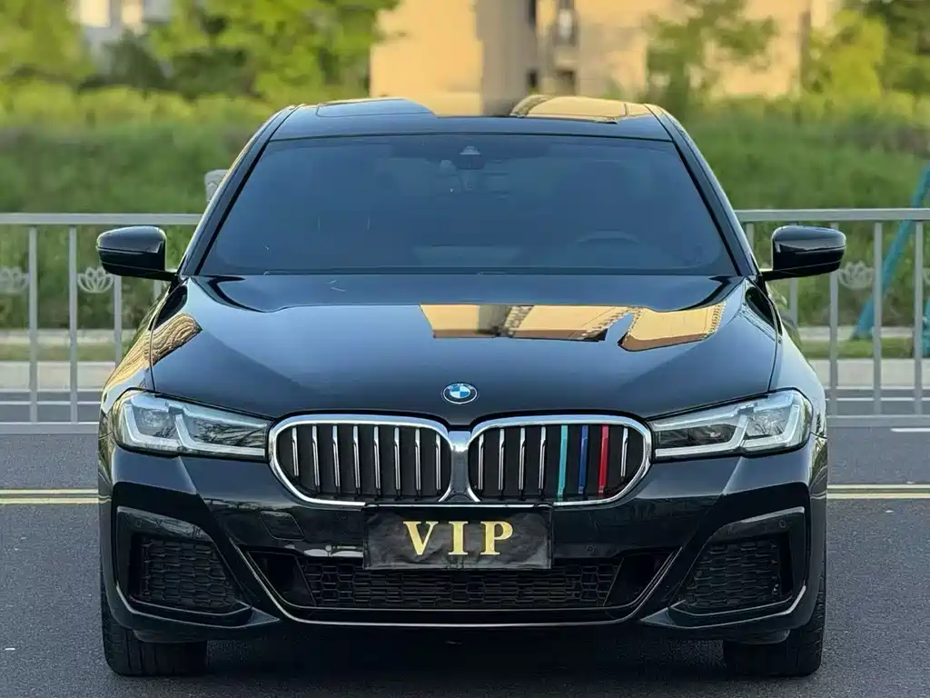 BMW 5 Series — миниатюра 2