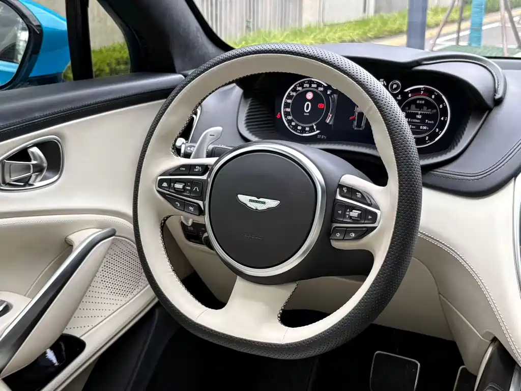 Aston Martin DBX — миниатюра 23