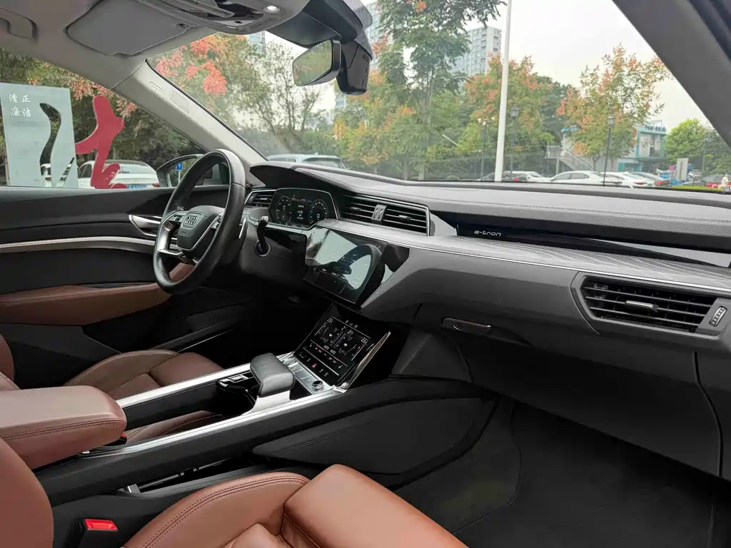 Audi e-tron (Import) — миниатюра 11