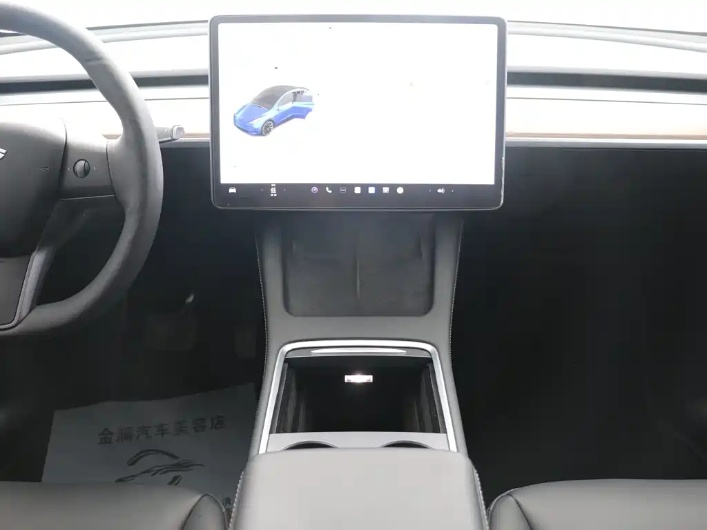 Tesla Model Y — миниатюра 7