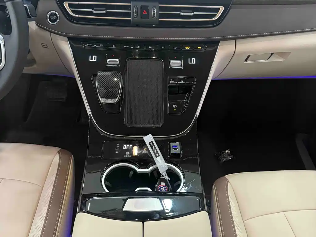 Hongqi HQ9 PHEV 2024 2.0T