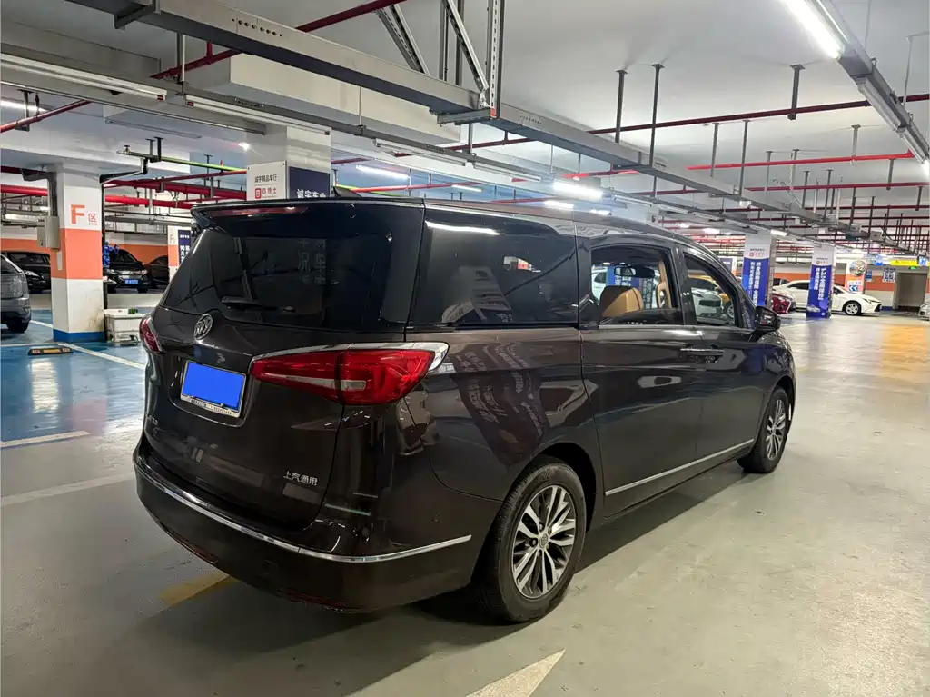 Buick GL8 — миниатюра 18
