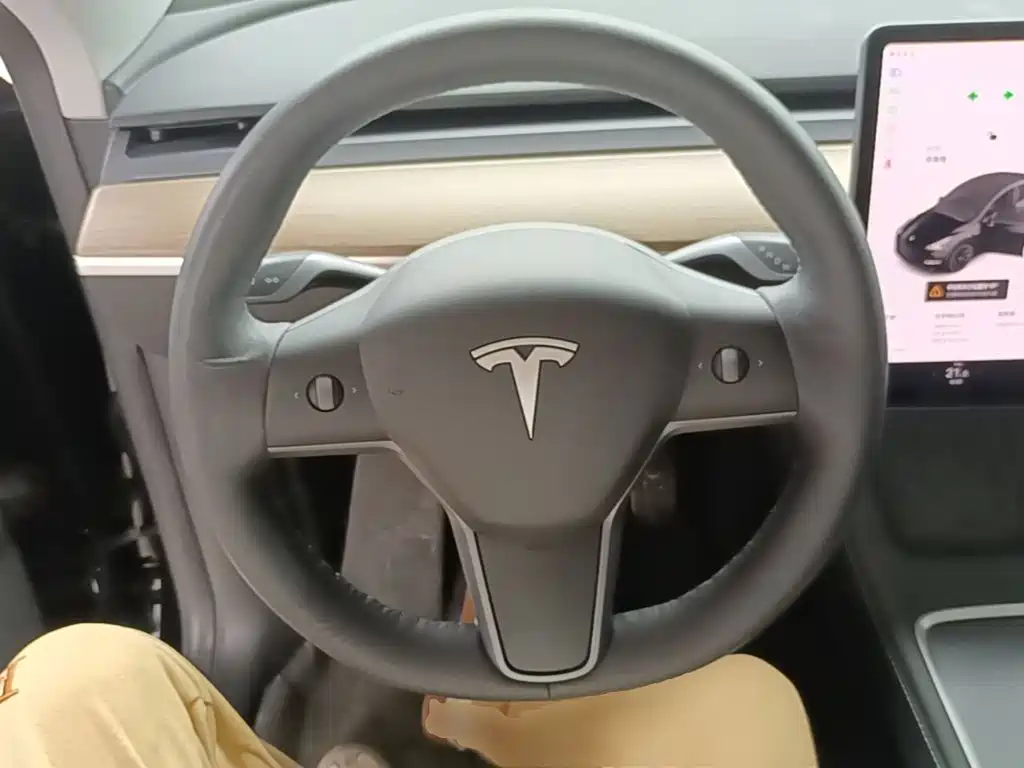 Tesla Model Y — миниатюра 11