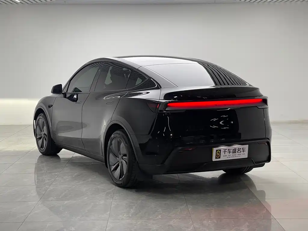 Tesla Model Y — миниатюра 4