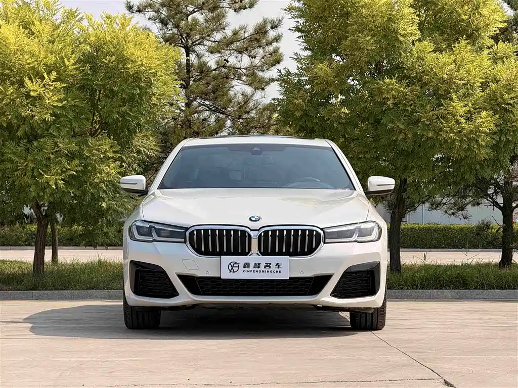BMW 5 Series 5 2021 530Li Lead M Sport