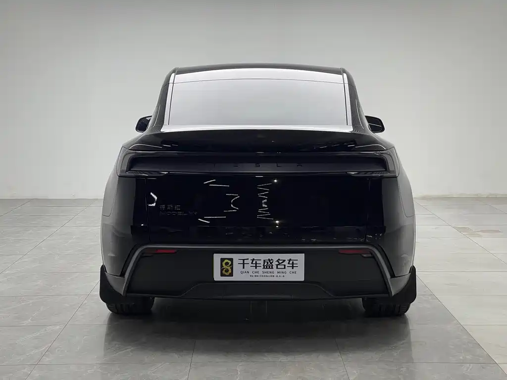 Tesla Model Y — миниатюра 5
