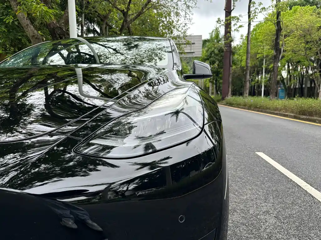 Tesla Model Y — миниатюра 10