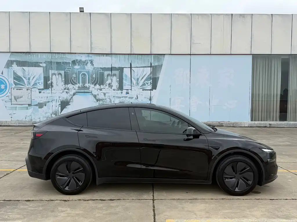 Tesla Model Y — миниатюра 8