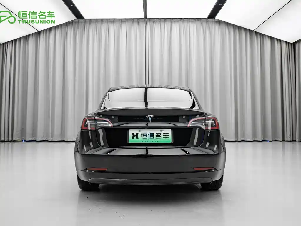 Tesla Model 3 2021 3D6
