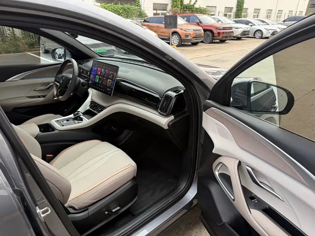 BYD Pro New Energy — миниатюра 6