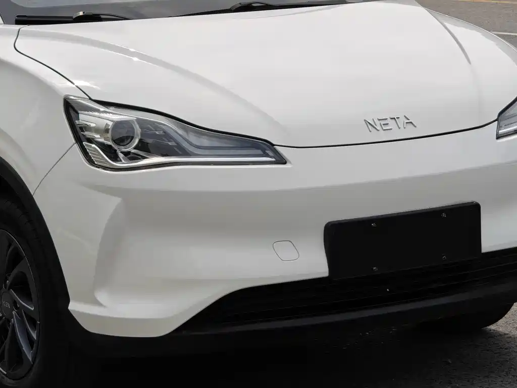 Neta Neta V — миниатюра 3