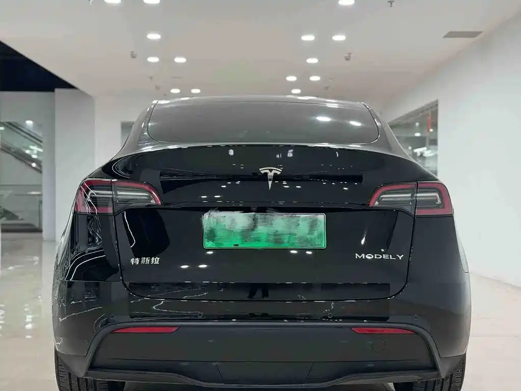 Tesla Model Y — миниатюра 4