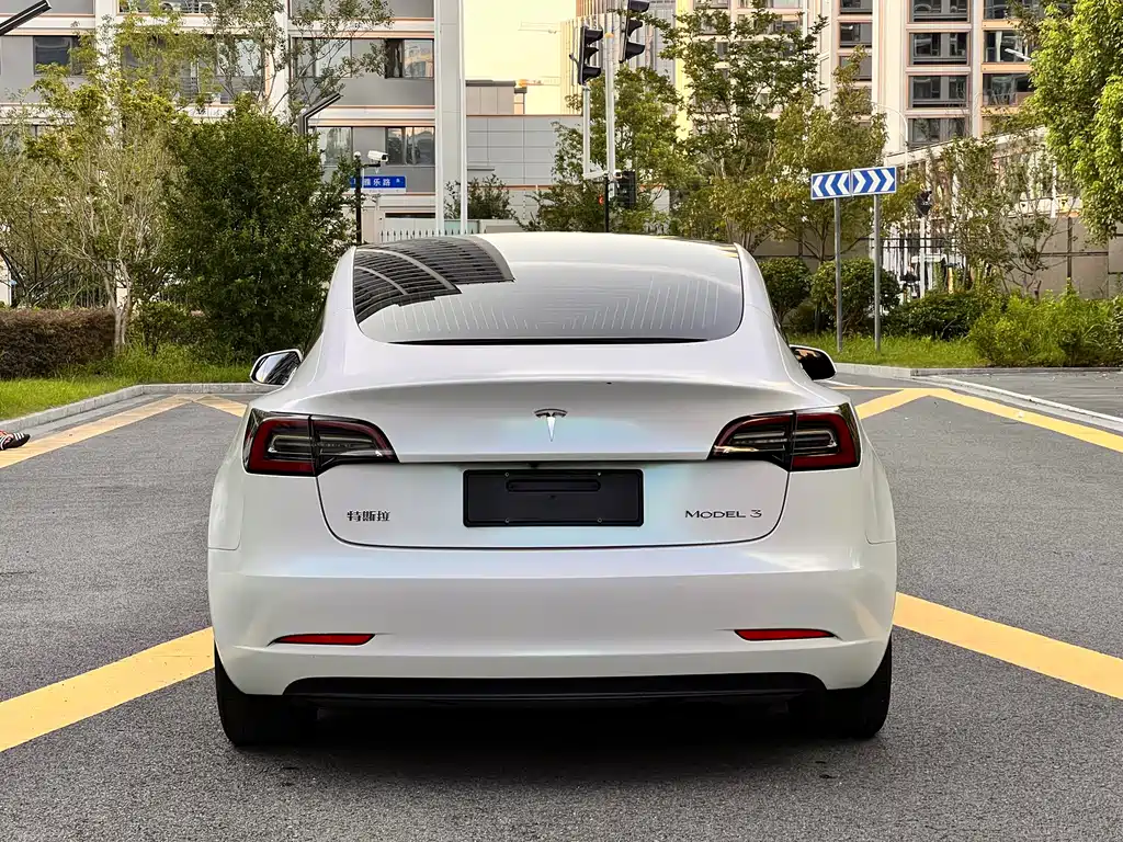 Tesla Model 3 — миниатюра 14