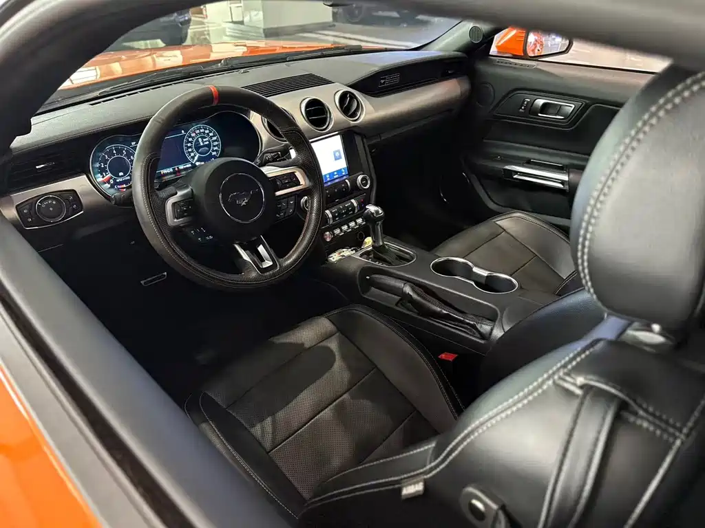Ford Mustang — миниатюра 14