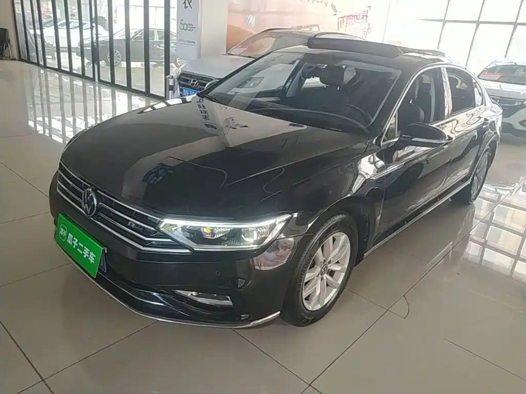 Volkswagen Magotan — миниатюра 2