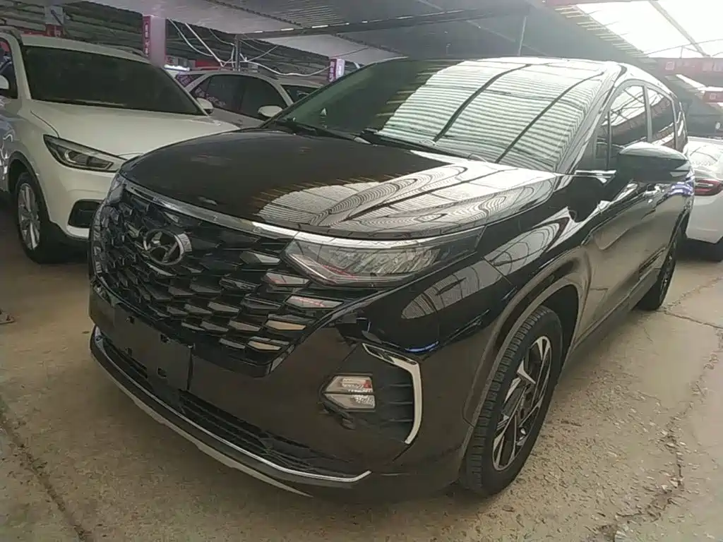 Hyundai Custo — миниатюра 2