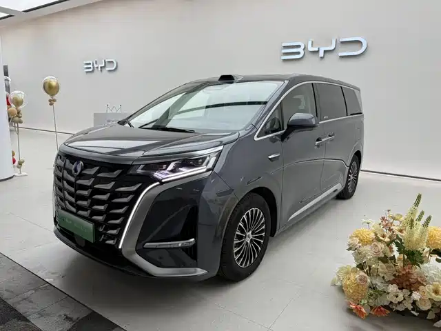 Denza D9