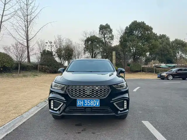 WEI PAI WEI BRAND VV5 2021