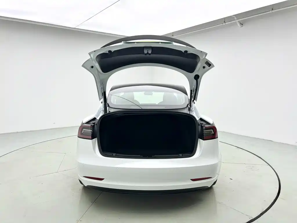 Tesla Model 3 — миниатюра 4
