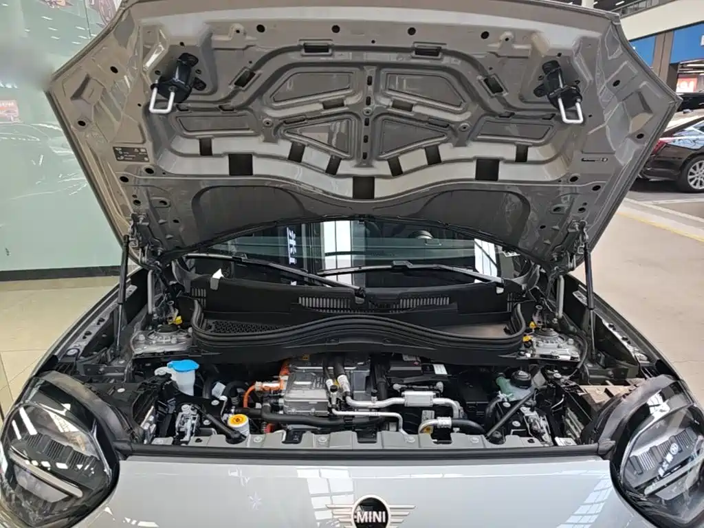 MINI MINI ACEMAN EV — миниатюра 20