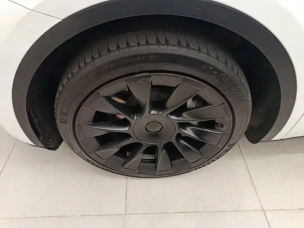 Tesla Model Y — миниатюра 23