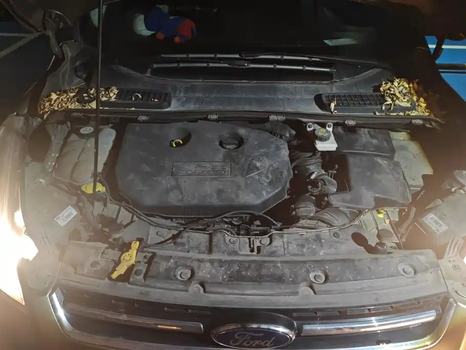Ford Kuga — миниатюра 10