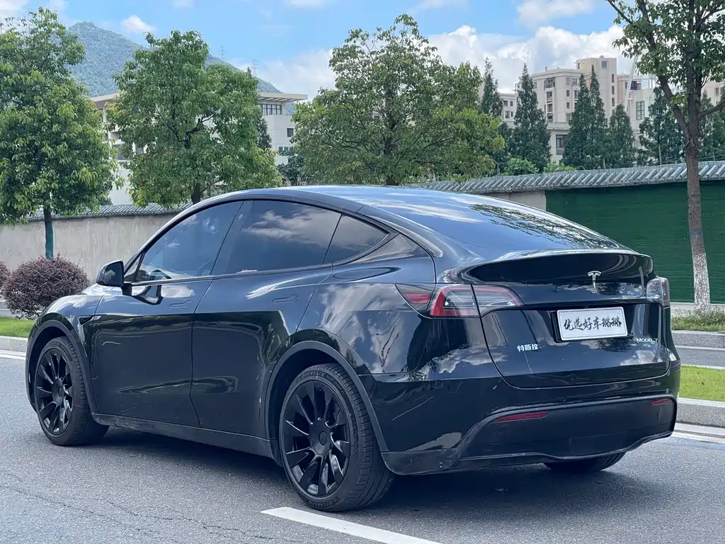Tesla Model Y — фотографии объявления, Фото 14