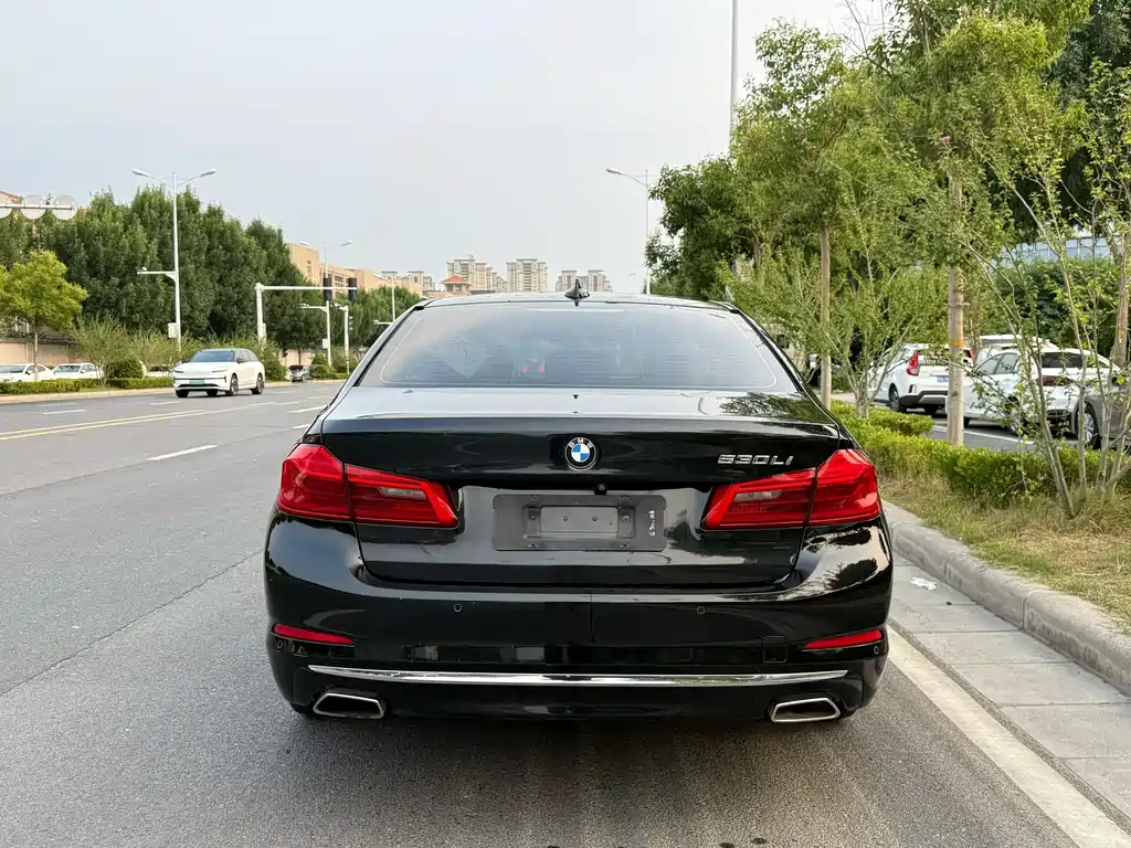 BMW 5 Series 5 2018 530Li Premium Luxury