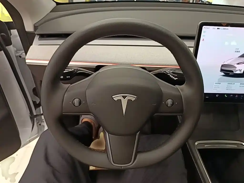 Tesla Model Y — миниатюра 11