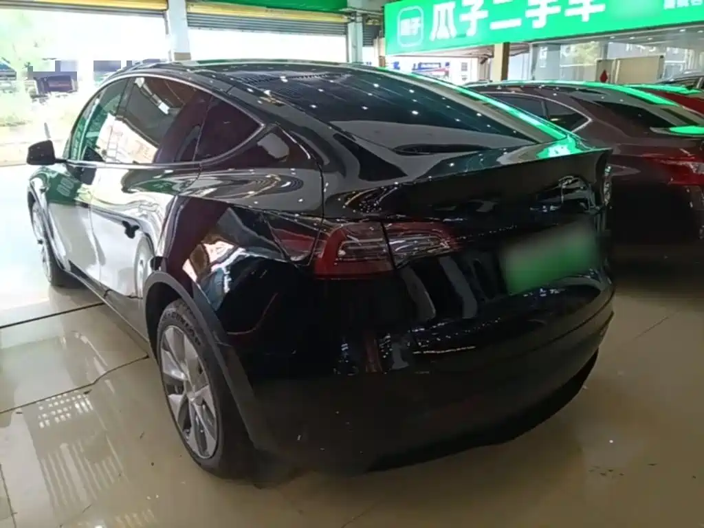 Tesla Model Y — миниатюра 5