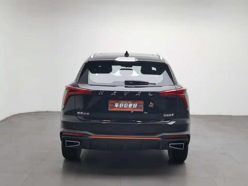 Haval Shenshou — миниатюра 4