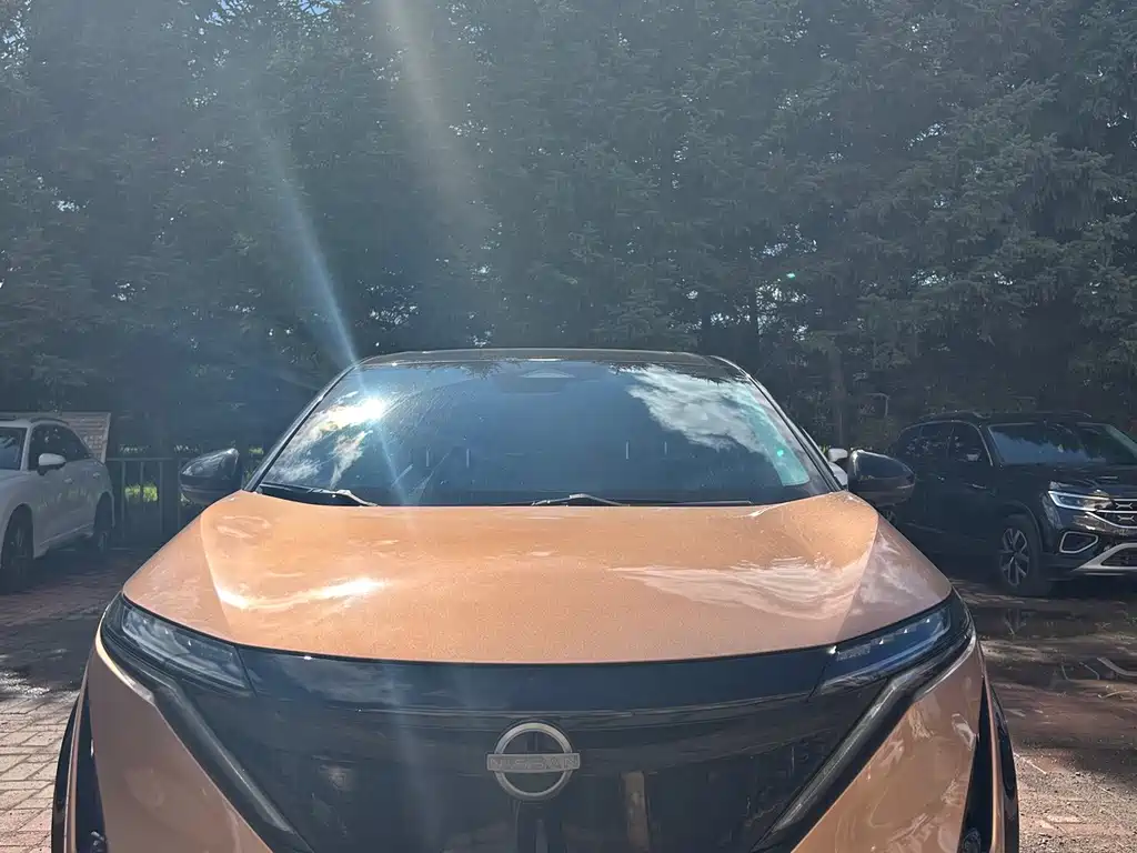 Nissan Ariya — миниатюра 2
