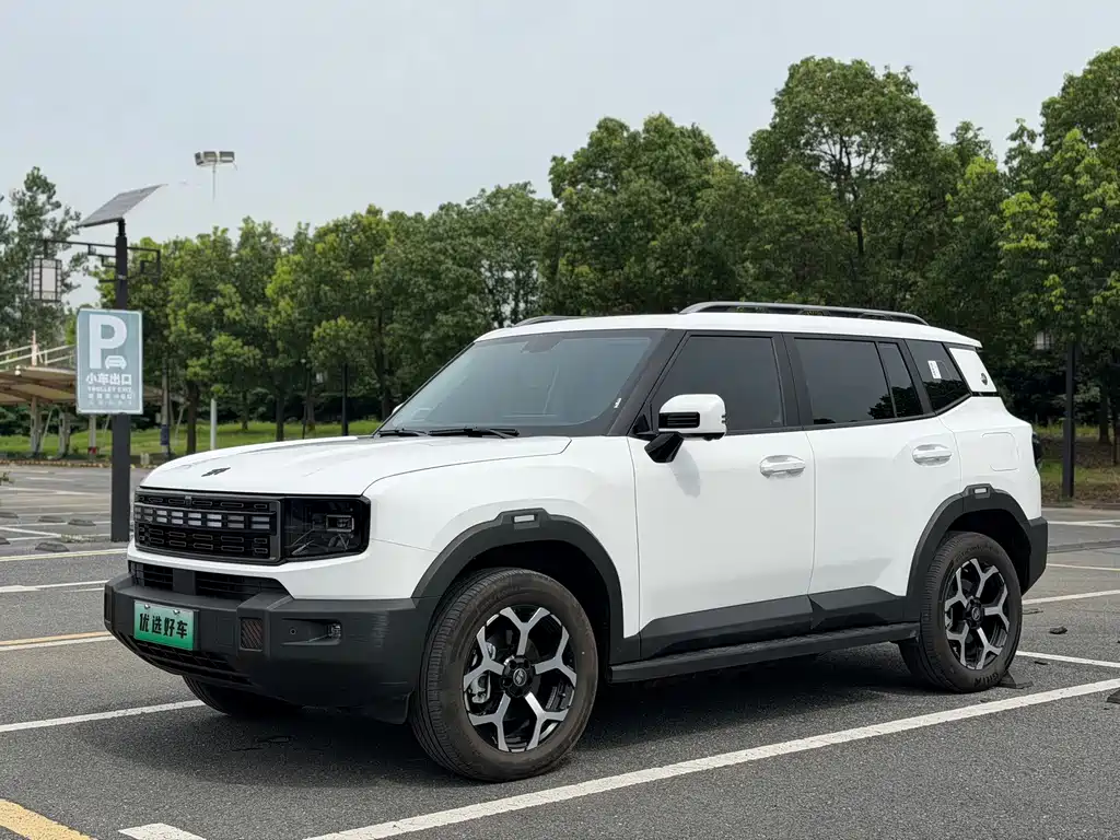 Shanhai Shanhai T1 — миниатюра 3