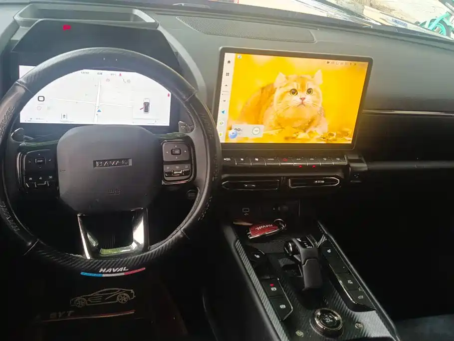 Haval Big Dog PLUS — миниатюра 12
