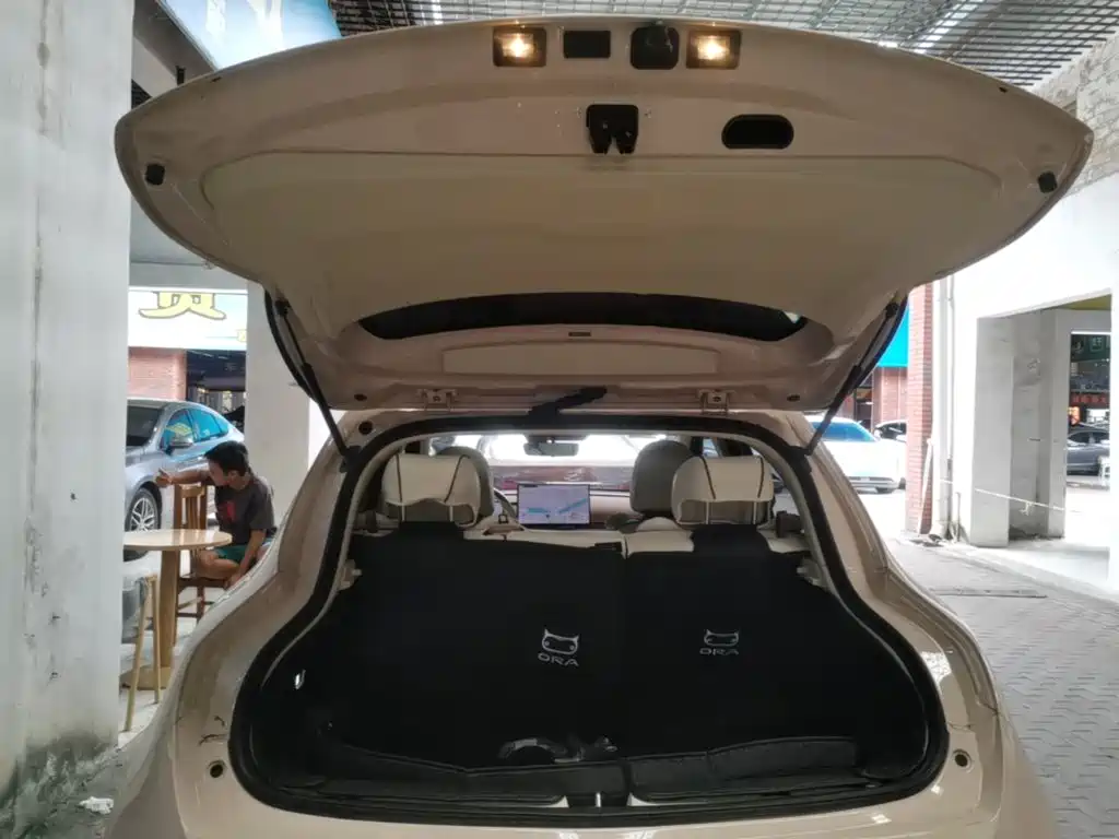 Ora Ora Good Cat GT — миниатюра 19