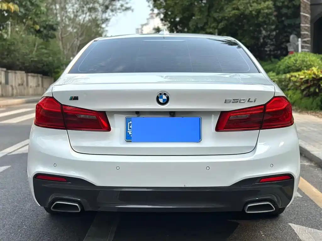 BMW 5 Series 5 2020 530Li Lead M Sport