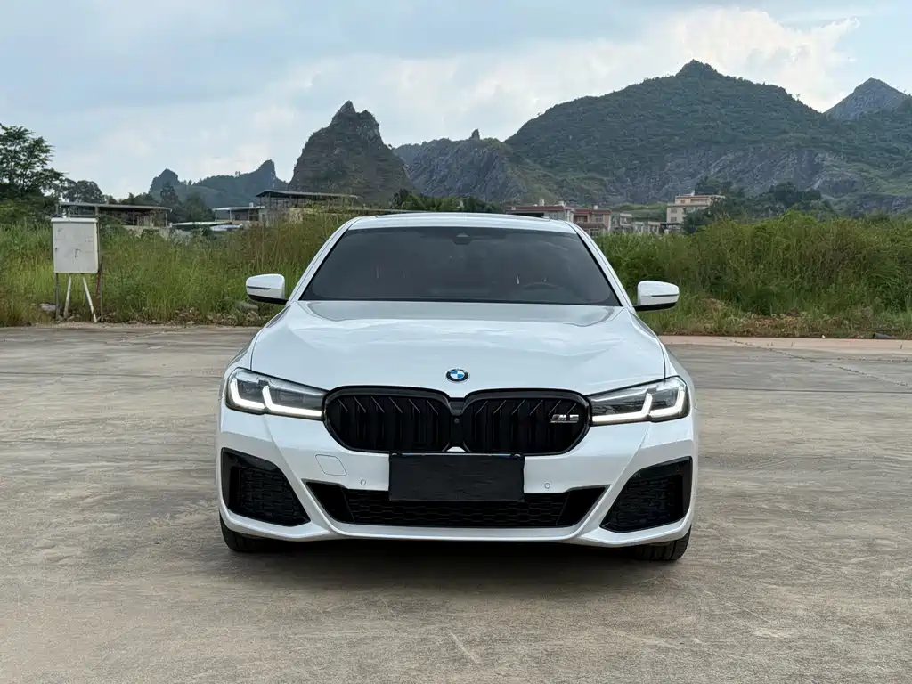 BMW 5 Series — миниатюра 2
