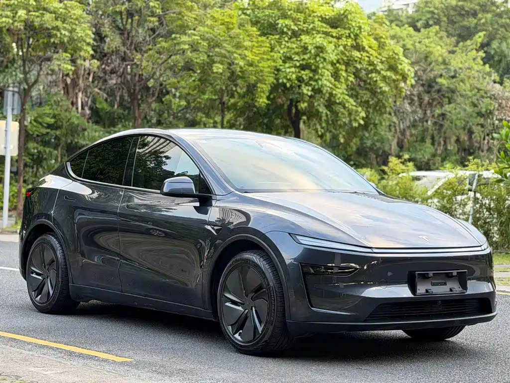 Tesla Model Y — миниатюра 5