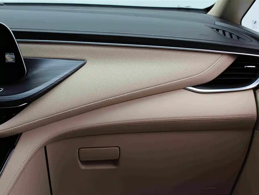 Buick GL8 — миниатюра 10