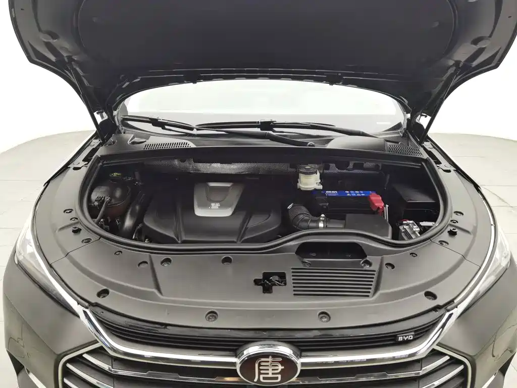 BYD Tang — миниатюра 6