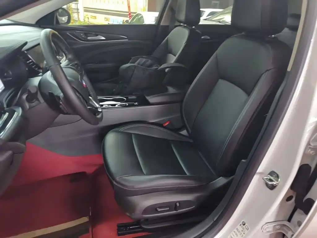 Buick Regal — миниатюра 15