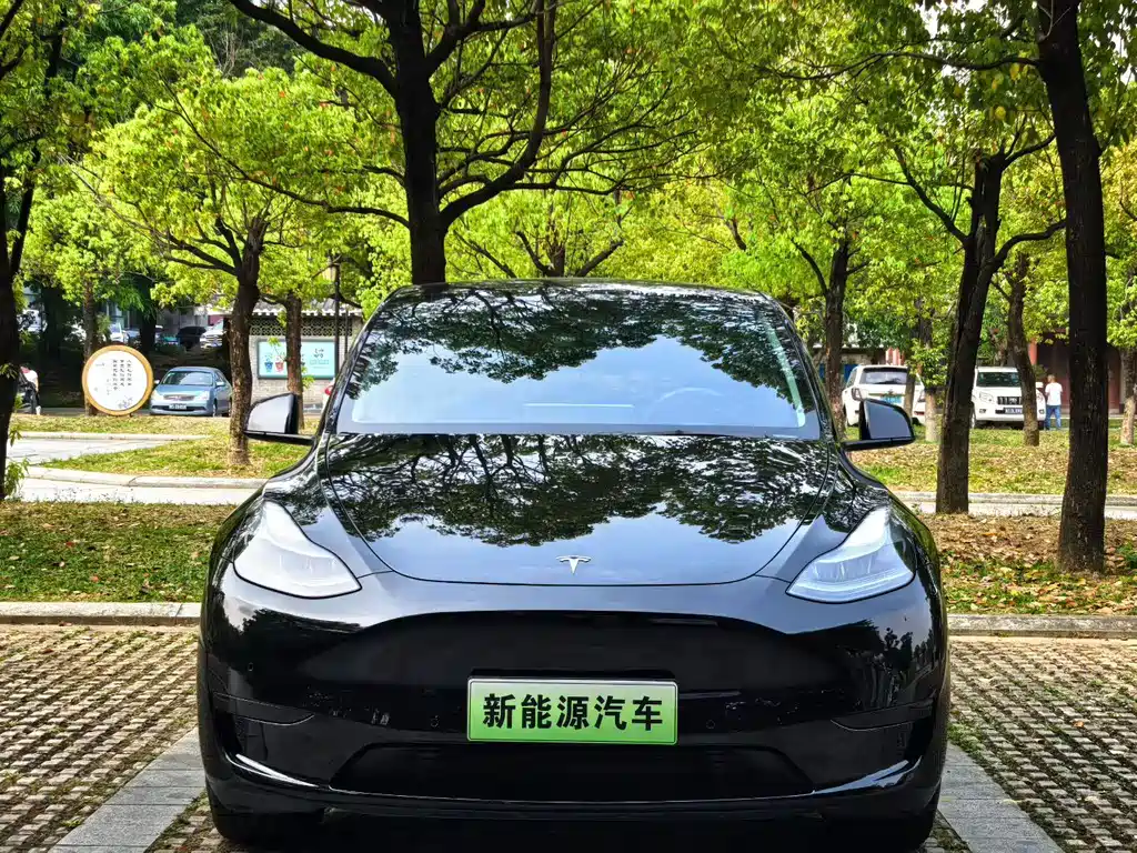 Tesla Model Y — миниатюра 2