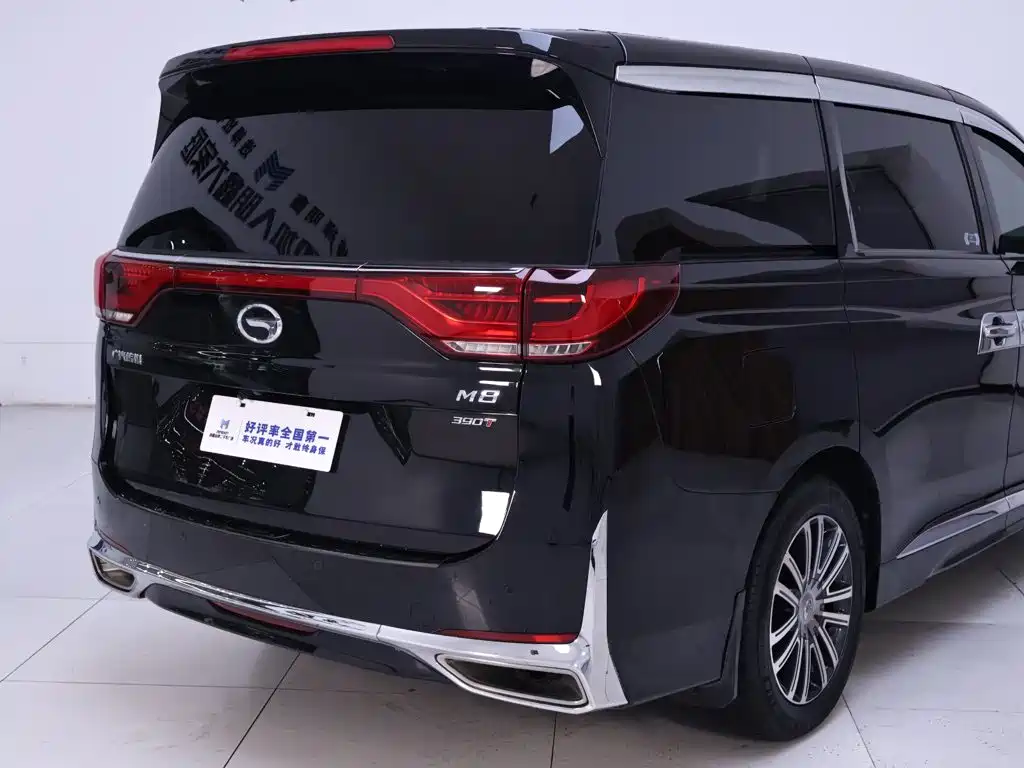 GAC Motor Trumpchi M8 — миниатюра 8