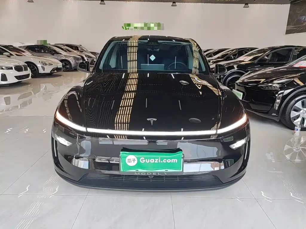 Tesla Model Y — миниатюра 3