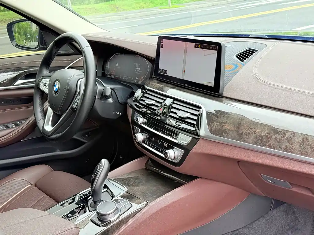 BMW 5 Series 5 2021 530Li Premium Luxury