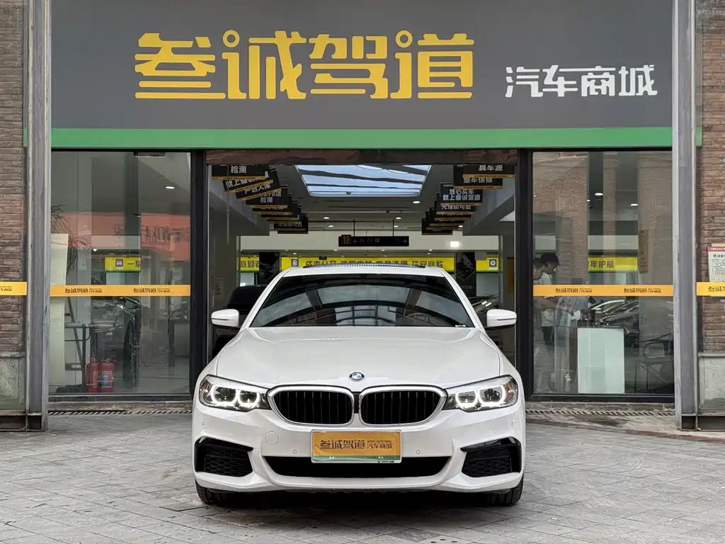 BMW 5 Series — миниатюра 2