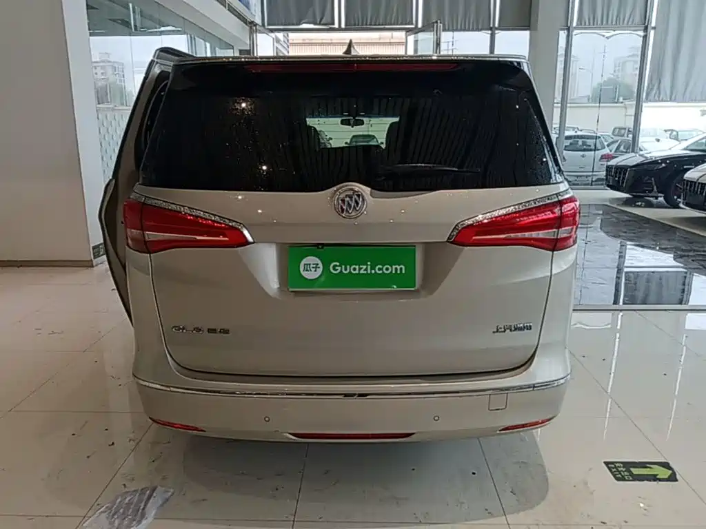 Buick GL8 — миниатюра 6