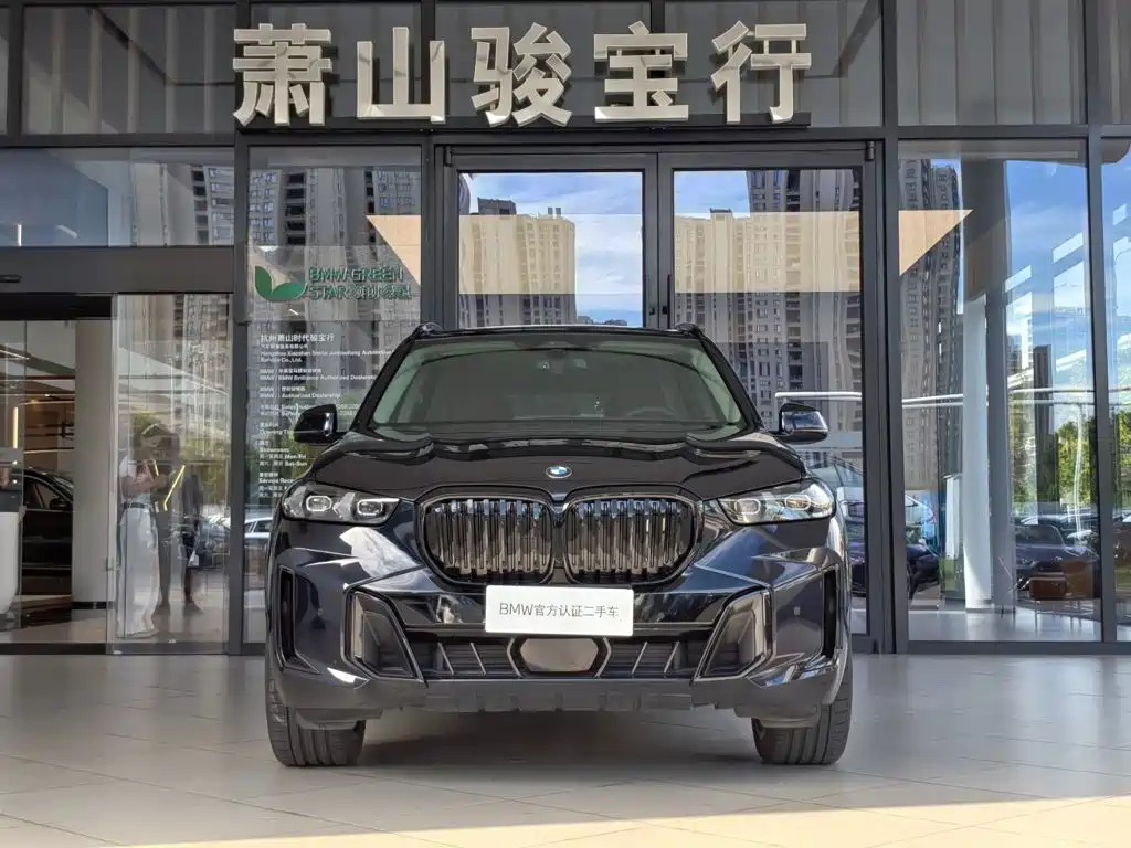 BMW X5 — миниатюра 2